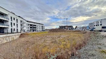 Immobilie in 53844 Troidorf - Bild 2