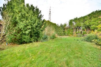 Immobilie in 53332 Bornheim - Bild 1