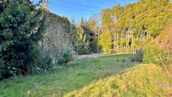 Immobilie in Bornheim